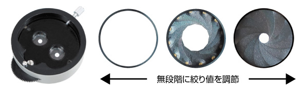 デュアルアイリスリング